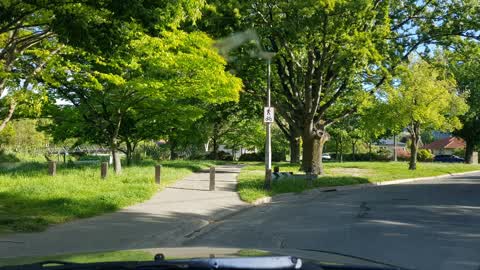 Parks, a report photo