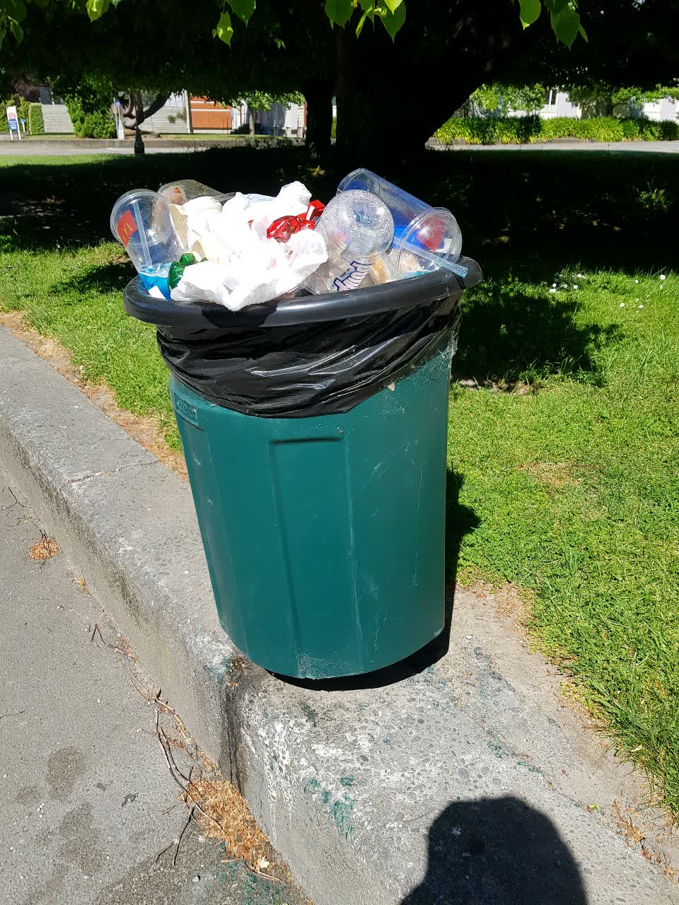 The photograph attached to this rubbish/recycling report