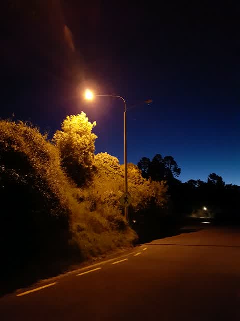 Roading/Streets, a report photo