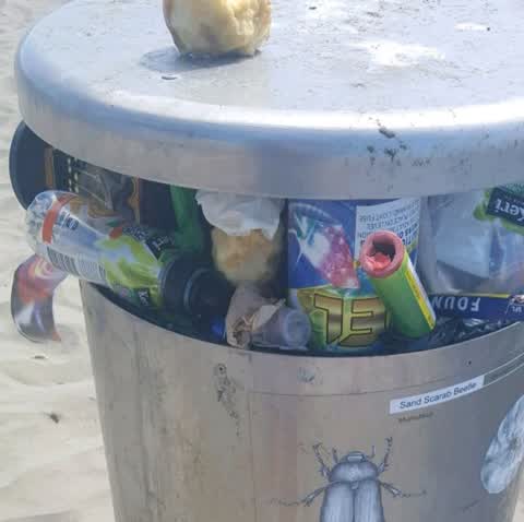 Rubbish/Recycling, a report photo