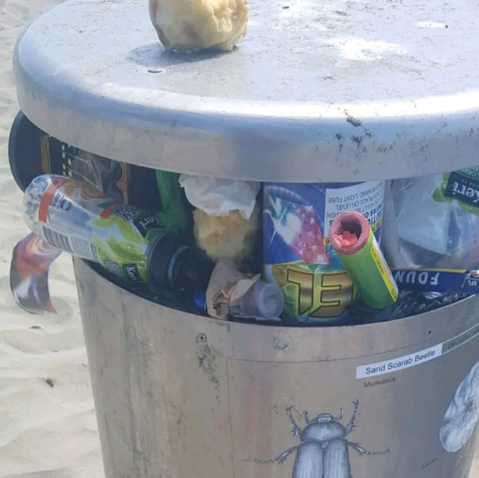 The photograph attached to this rubbish/recycling report