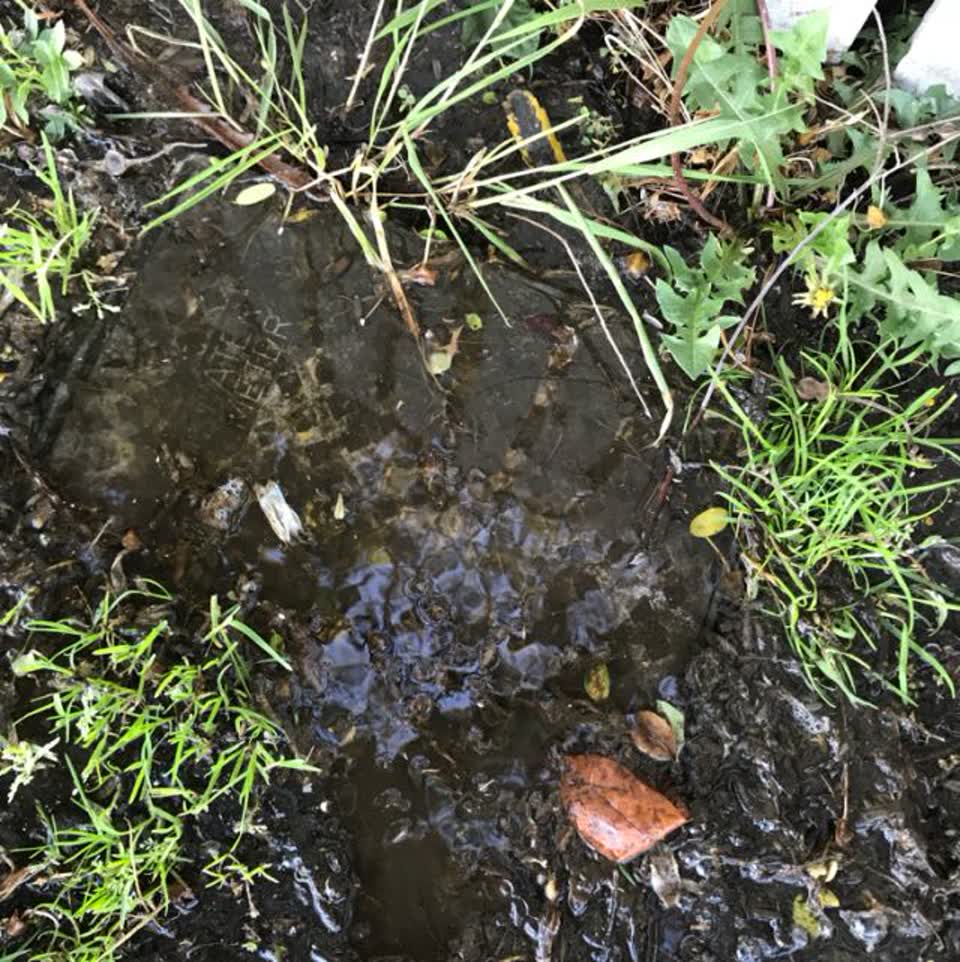 The photograph attached to this water supply report