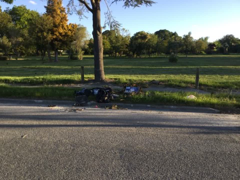 The photograph attached to this rubbish/recycling report