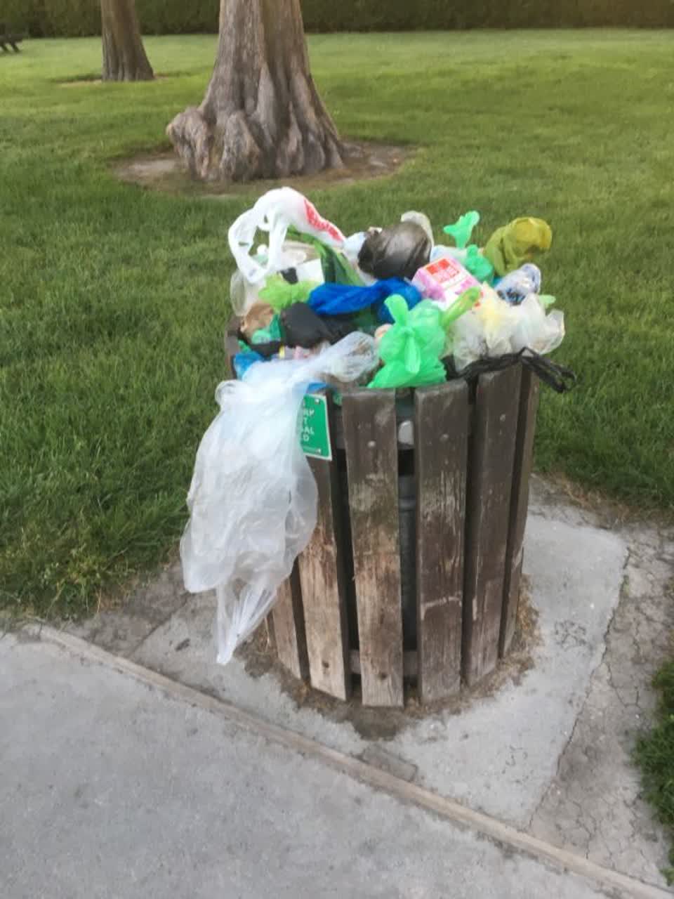 The photograph attached to this rubbish/recycling report