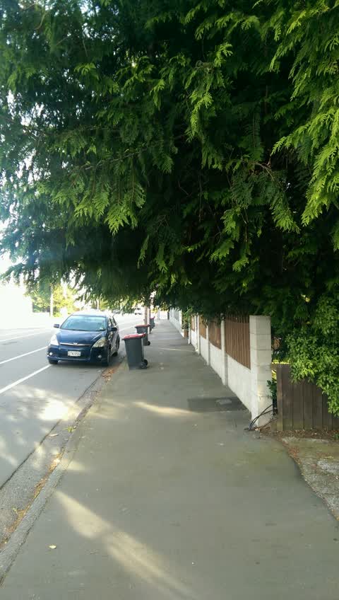 Roading/Streets, a report photo