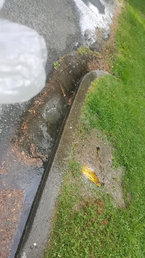 Water Supply, a report photo
