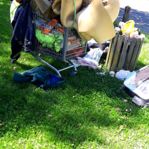 Rubbish/Recycling, a report photo