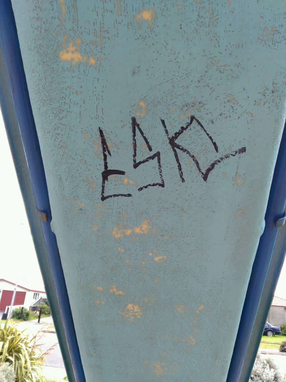 The photograph attached to this graffiti report