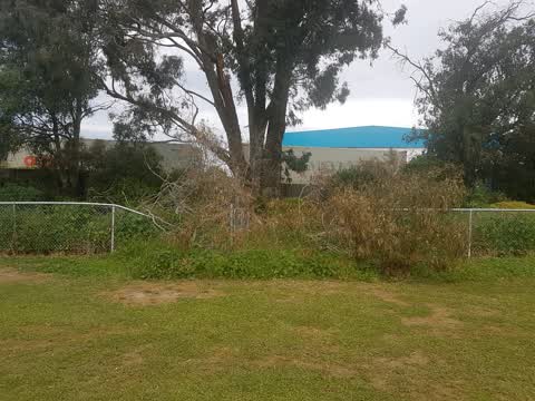 Parks, a report photo