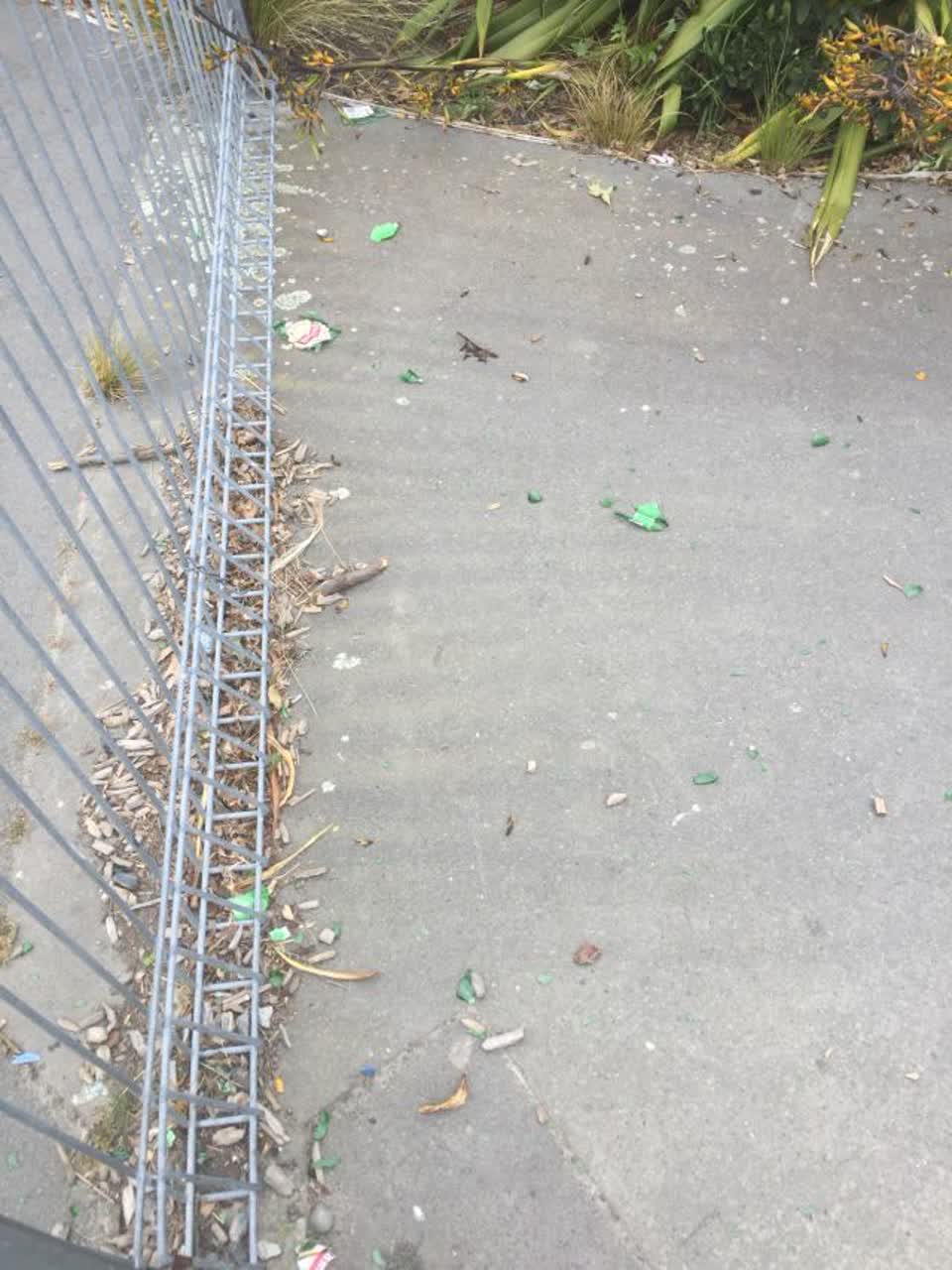 The photograph attached to this parks report