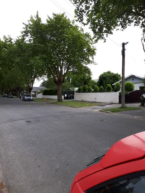 Roading/Streets, a report photo