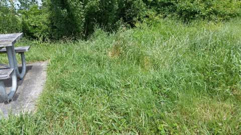 Parks, a report photo
