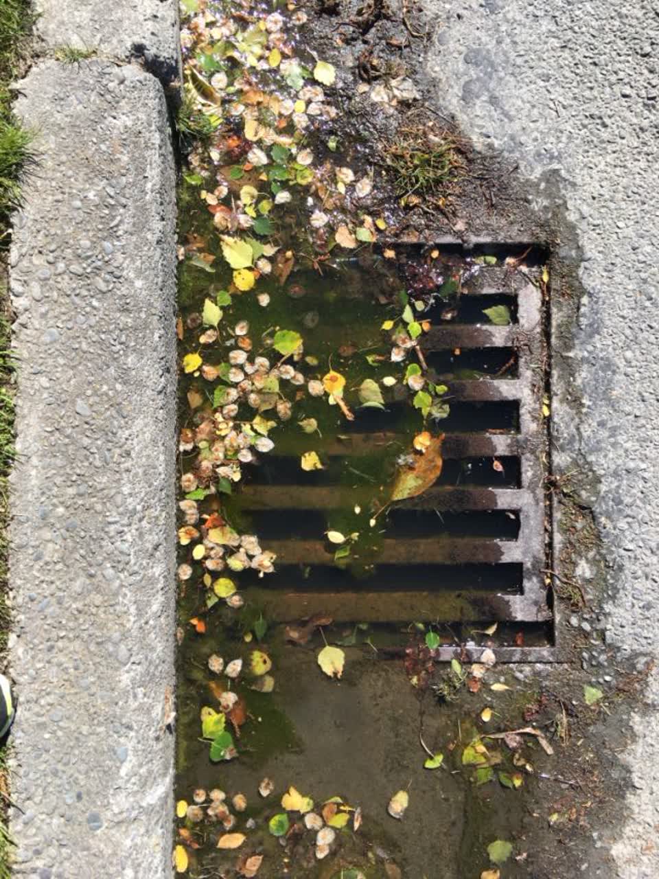 The photograph attached to this wastewater/stormwater report