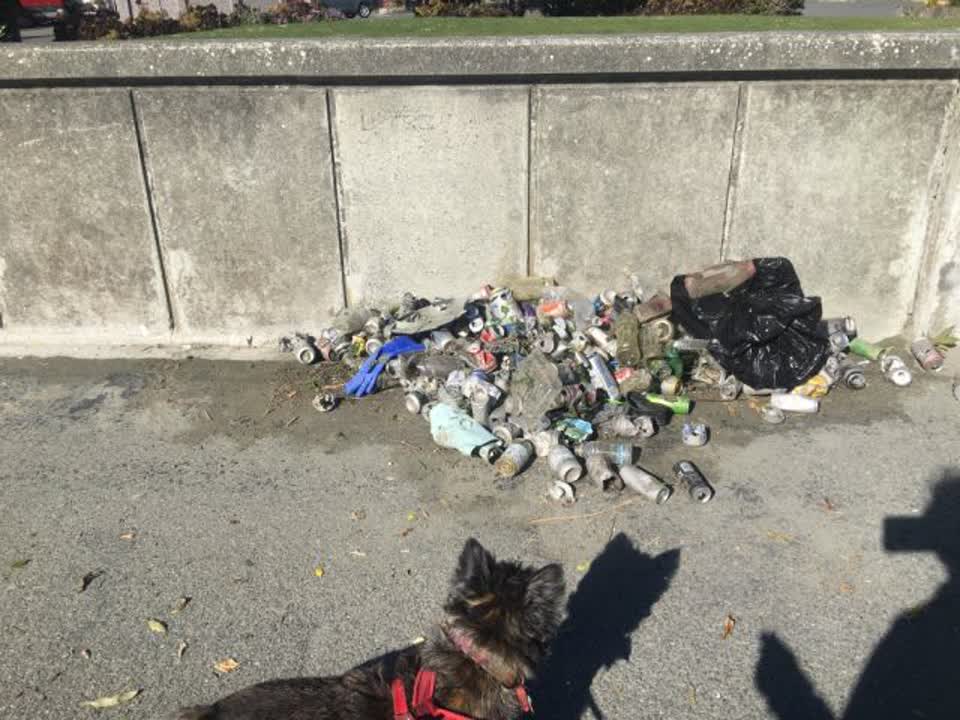 The photograph attached to this rubbish/recycling report