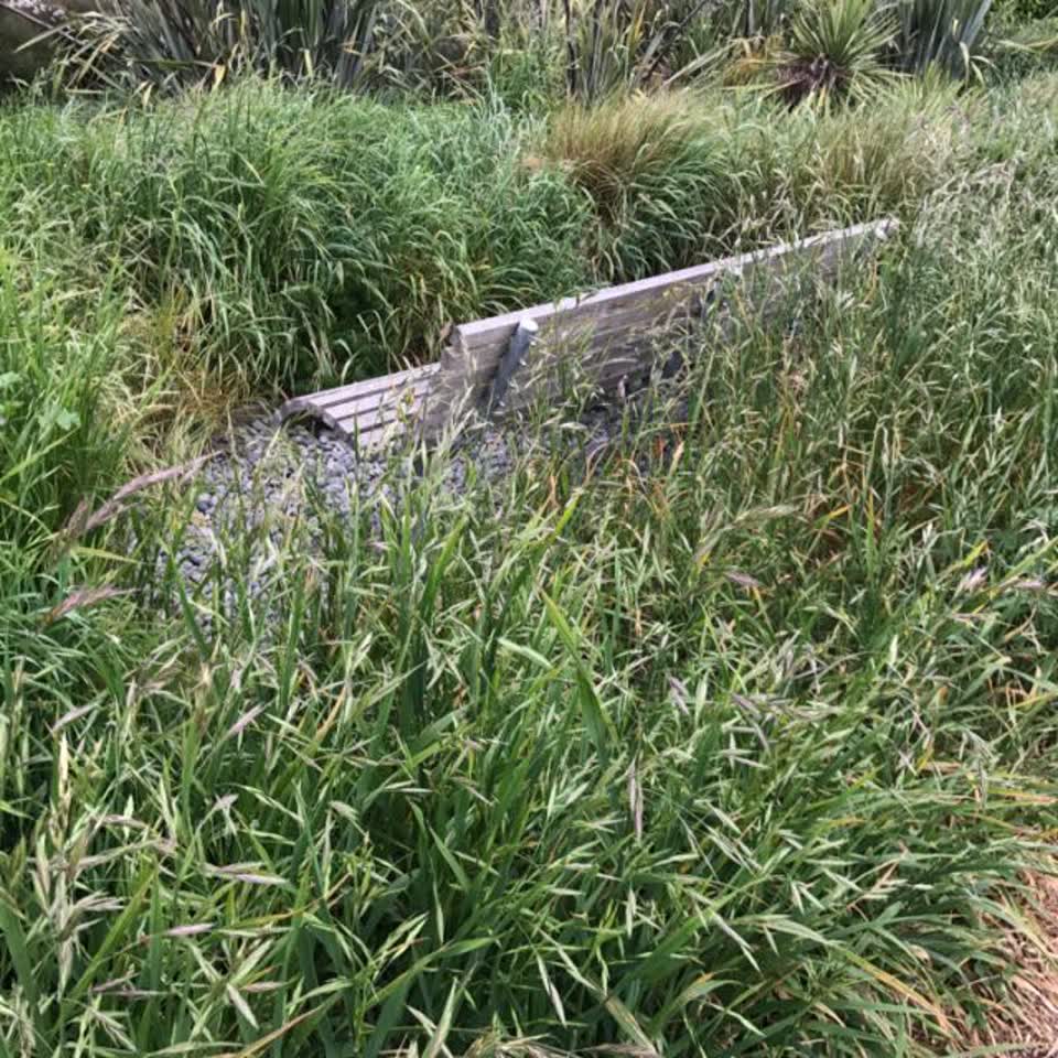 The photograph attached to this parks report