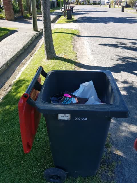 Rubbish/Recycling, a report photo