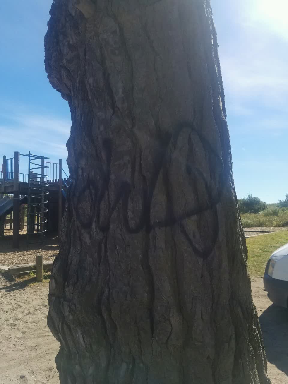 The photograph attached to this graffiti report