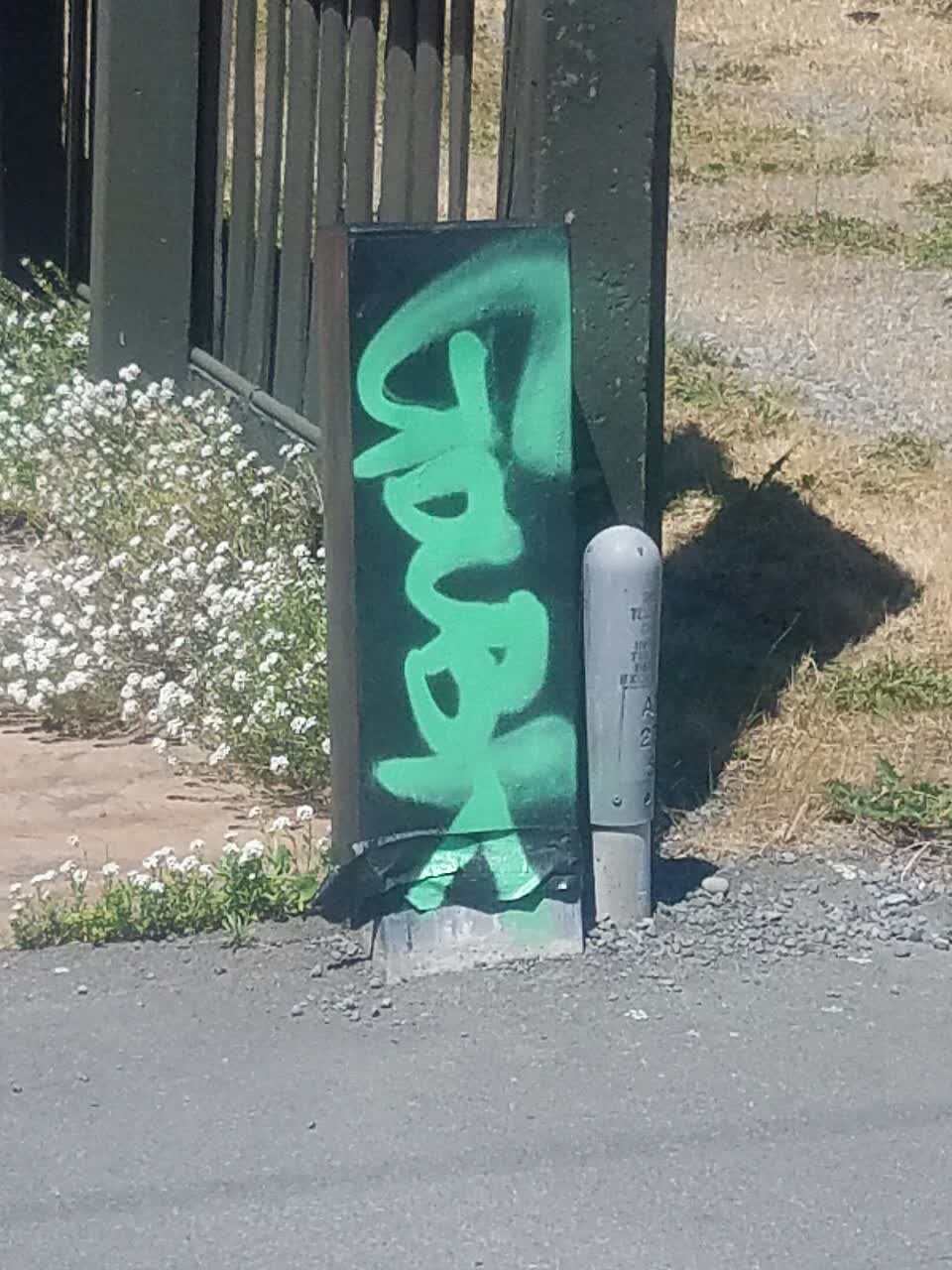 The photograph attached to this graffiti report