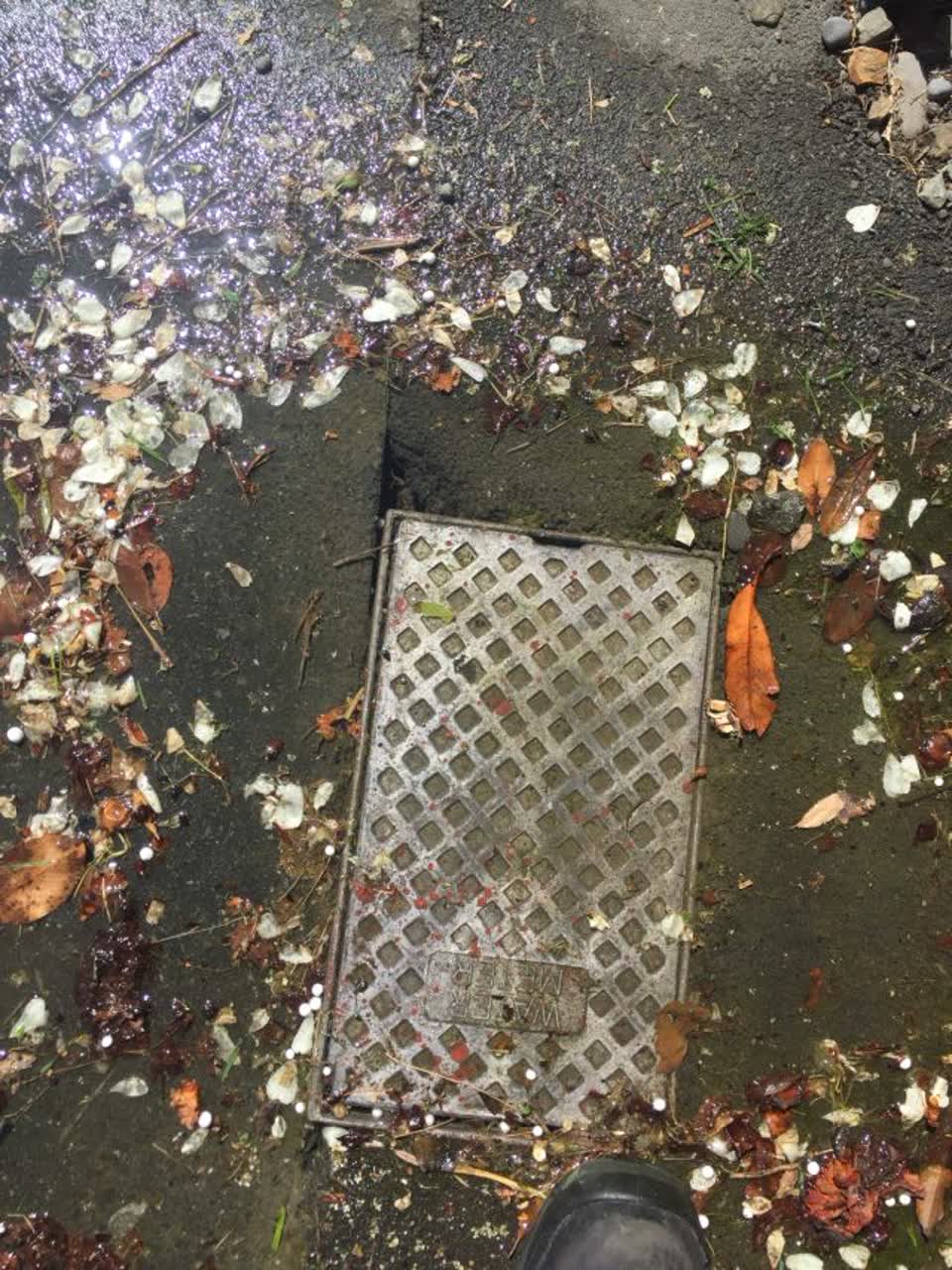 The photograph attached to this water supply report