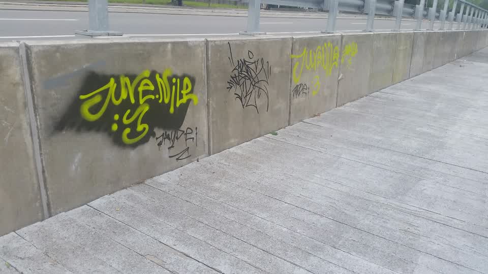 The photograph attached to this graffiti report