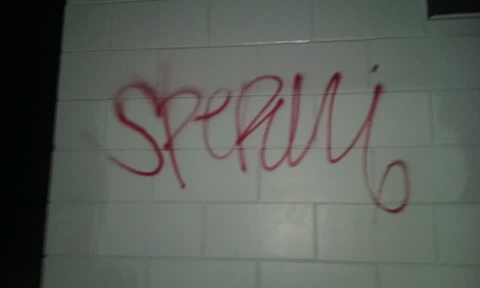 The photograph attached to this graffiti report