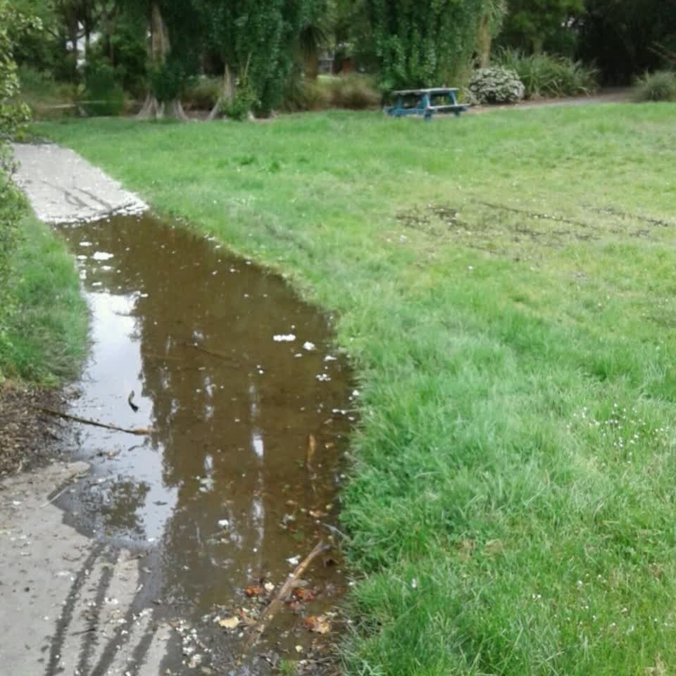 The photograph attached to this parks report
