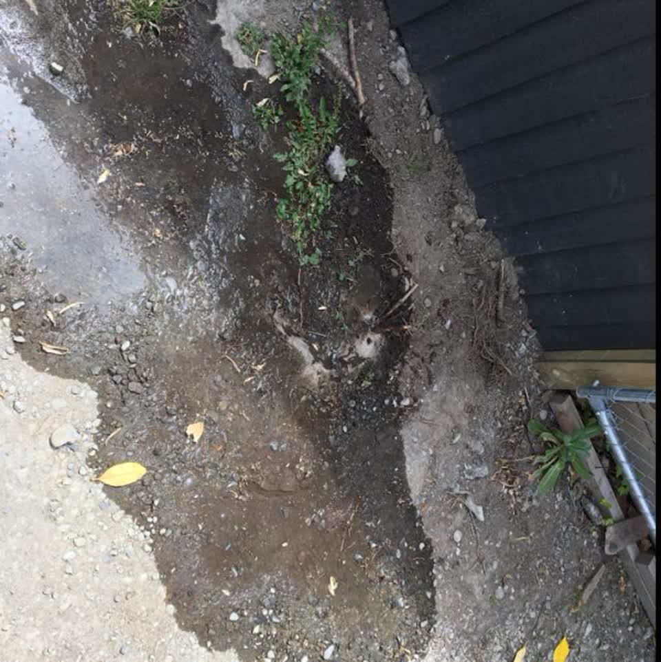 The photograph attached to this water supply report