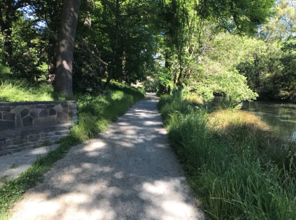 The photograph attached to this parks report