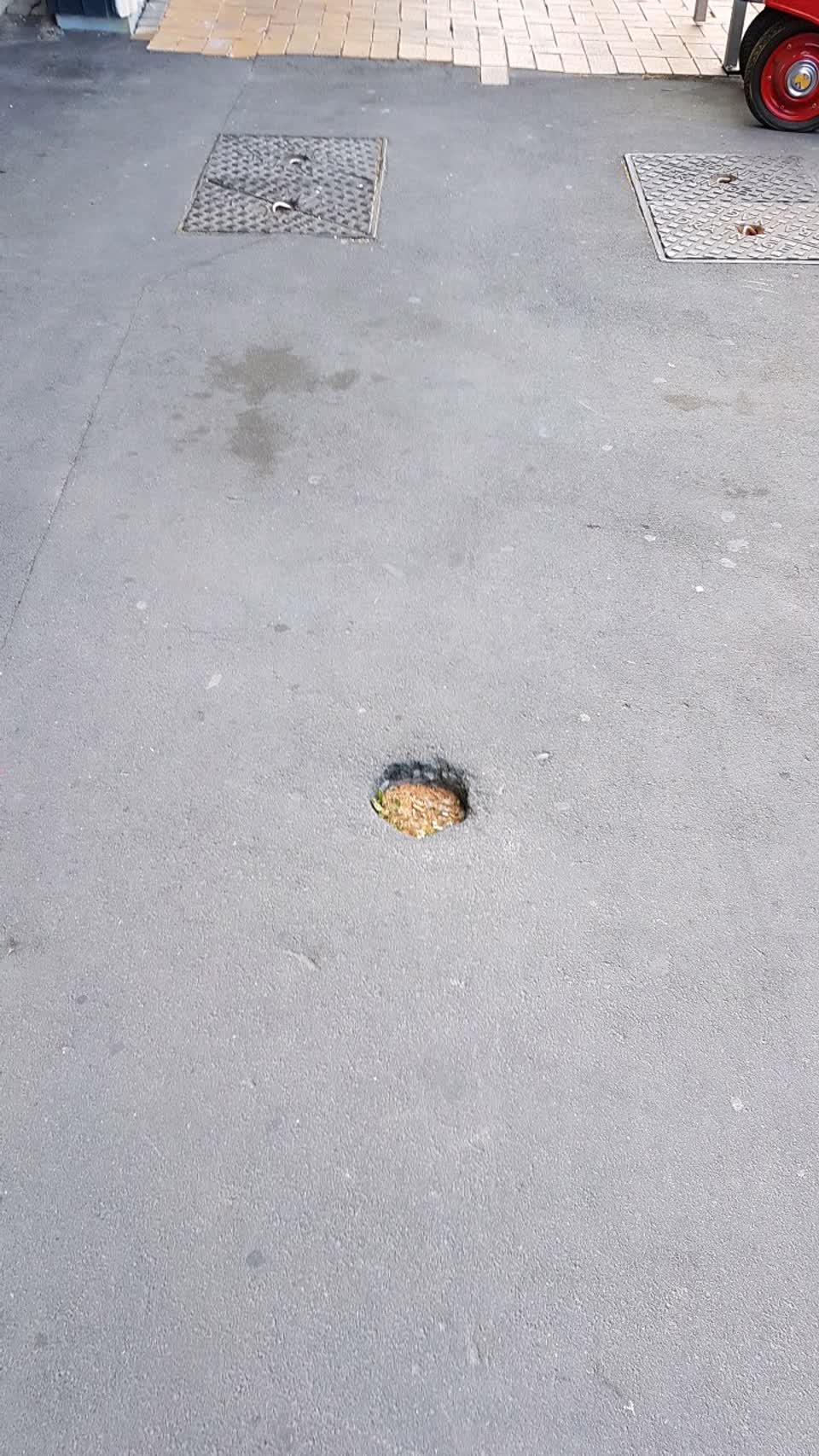 The photograph attached to this roading/streets report