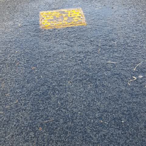 Wastewater/Stormwater, a report photo