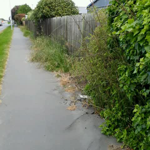 Roading/Streets, a report photo