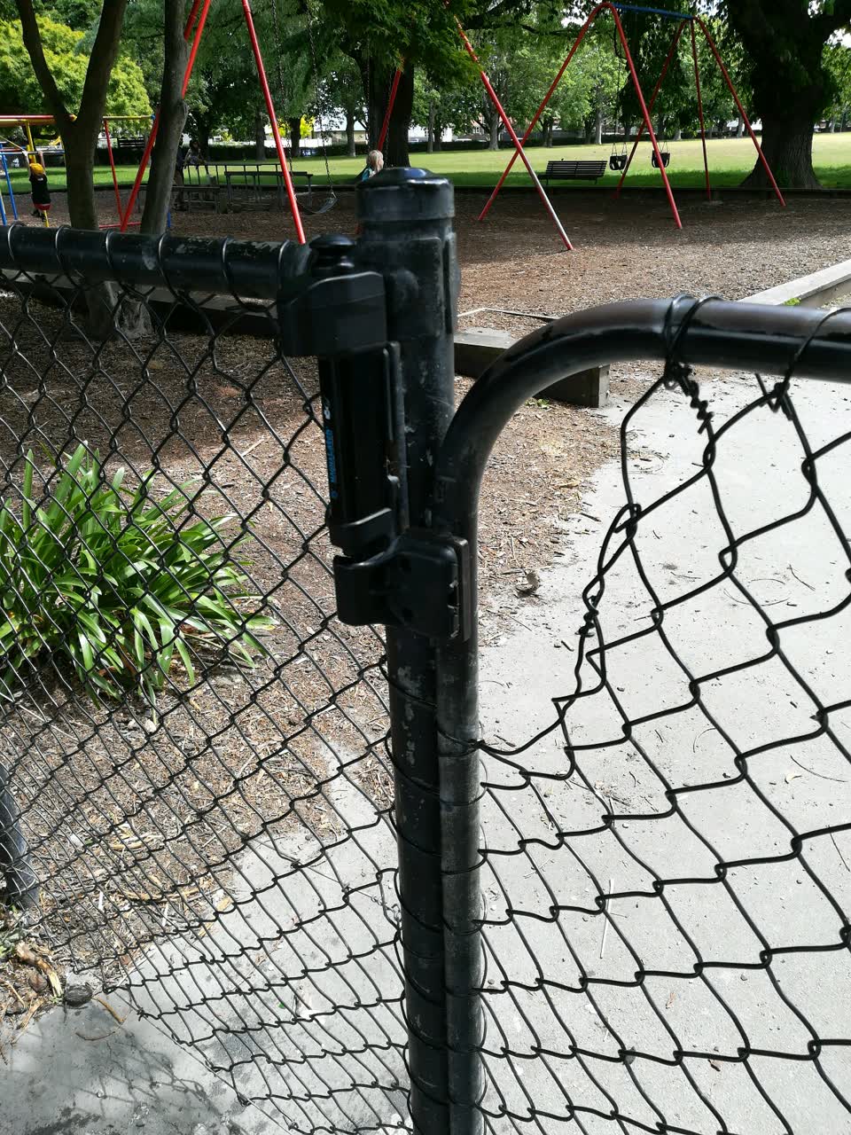 The photograph attached to this parks report
