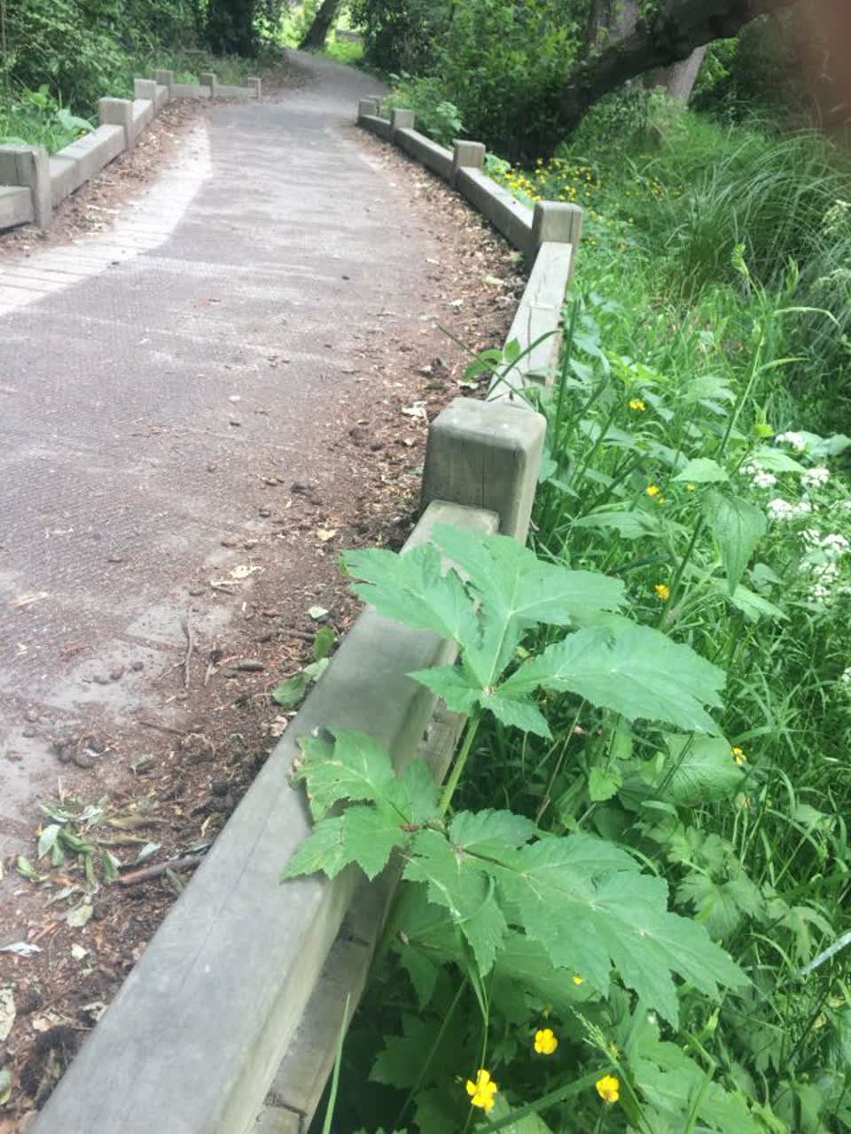 The photograph attached to this parks report