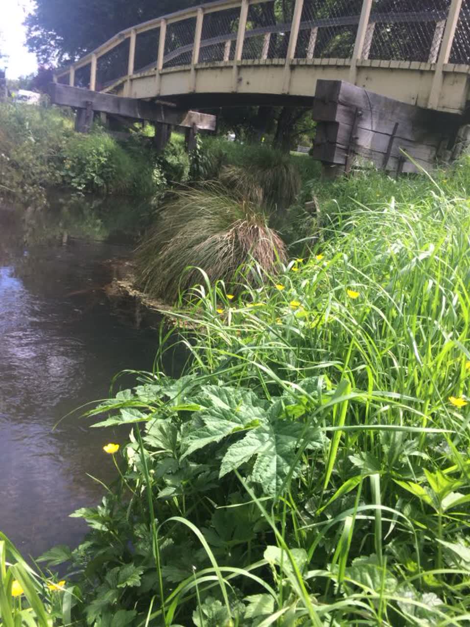 The photograph attached to this parks report