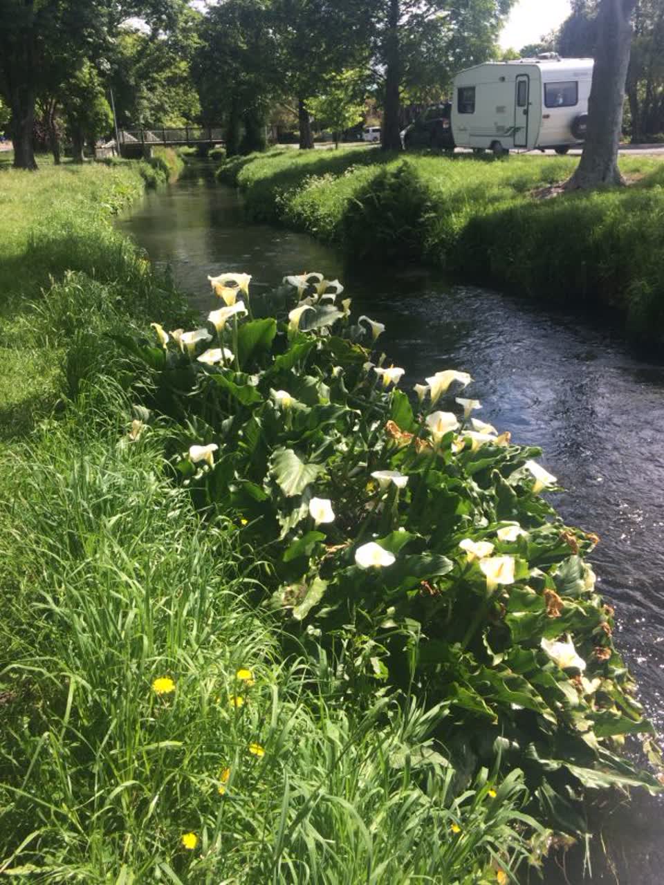 The photograph attached to this parks report