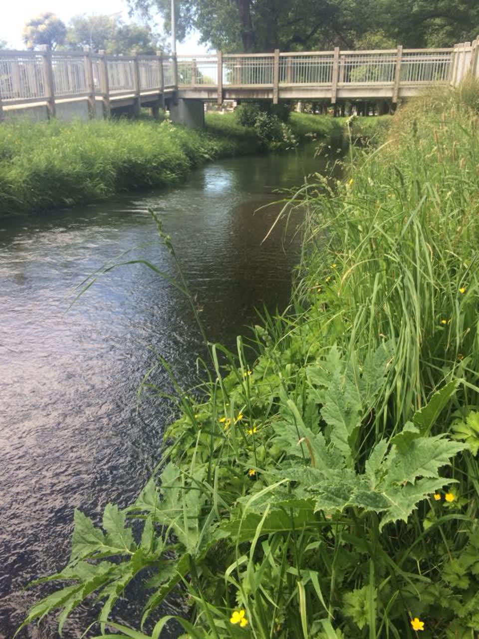 The photograph attached to this parks report
