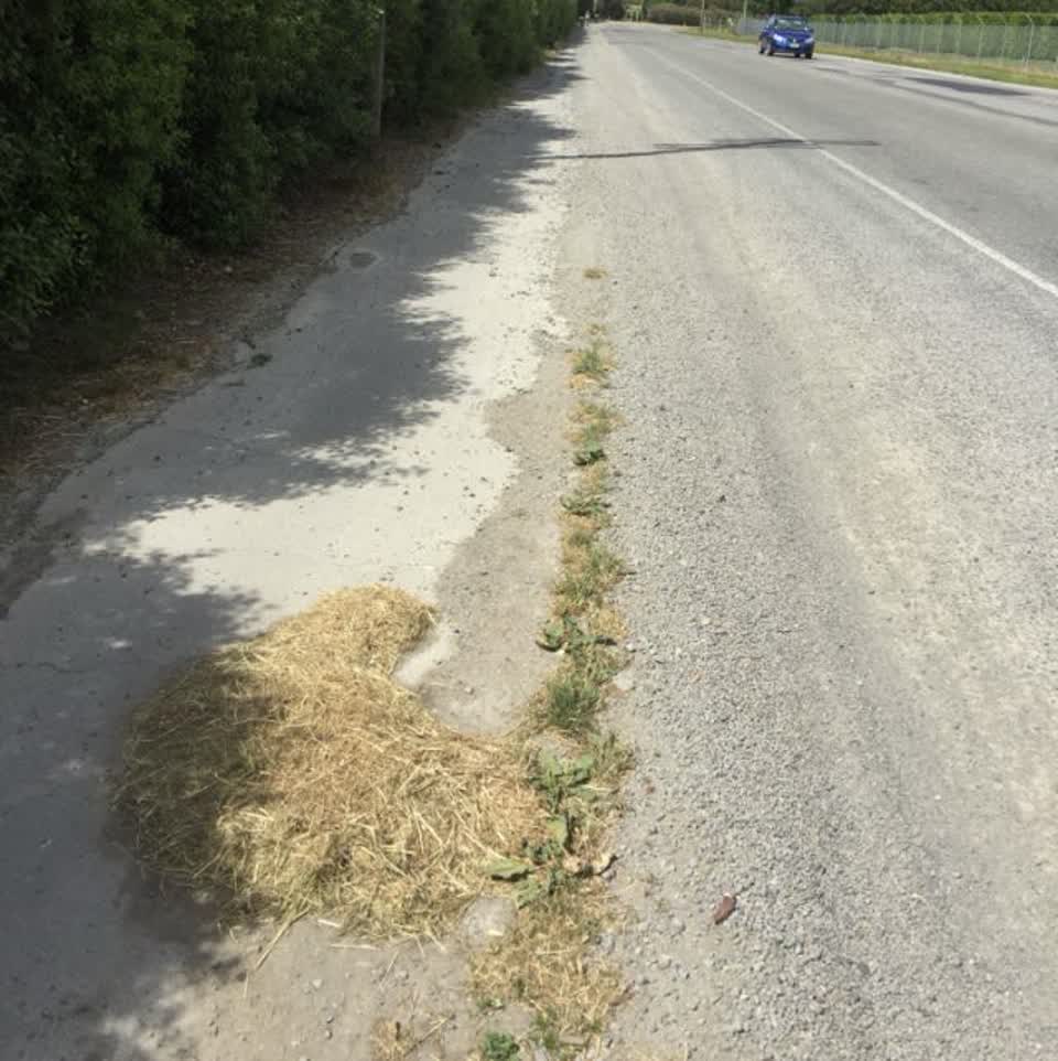 The photograph attached to this roading/streets report