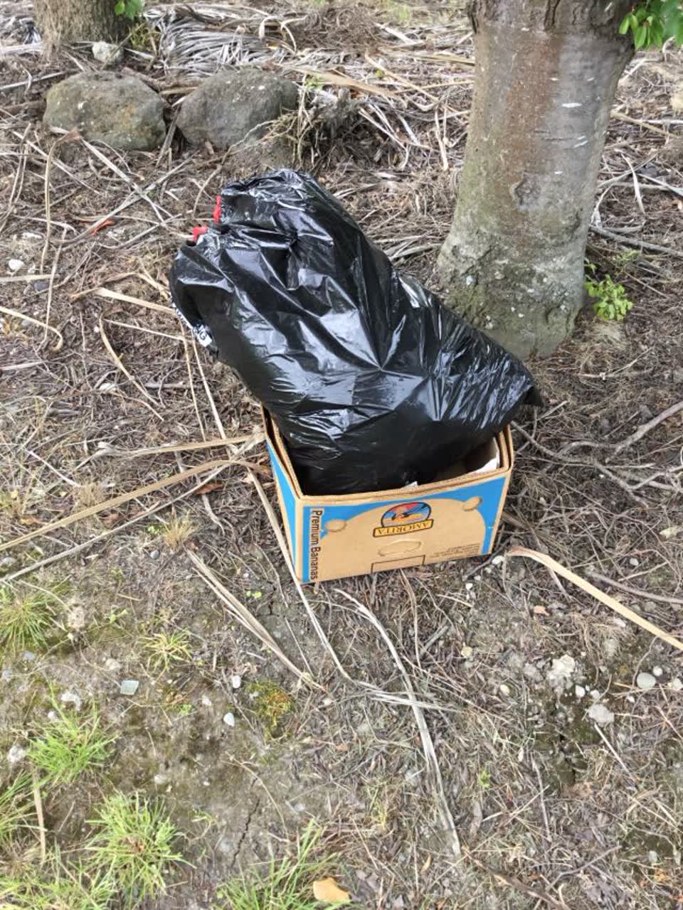 The photograph attached to this rubbish/recycling report