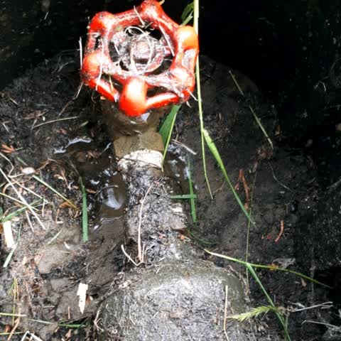 Water Supply, a report photo