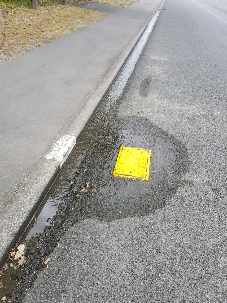 The photograph attached to this water supply report