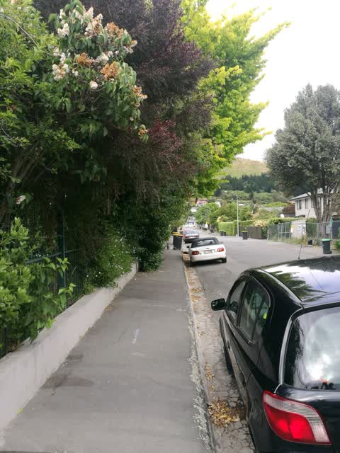 Roading/Streets — a report photo