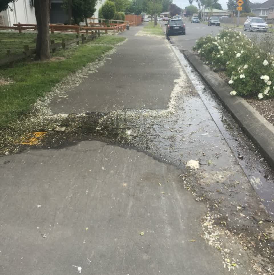The photograph attached to this water supply report
