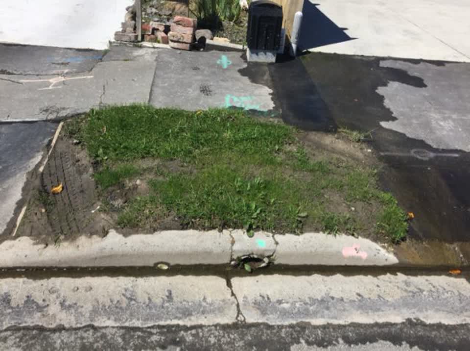 The photograph attached to this roading/streets report