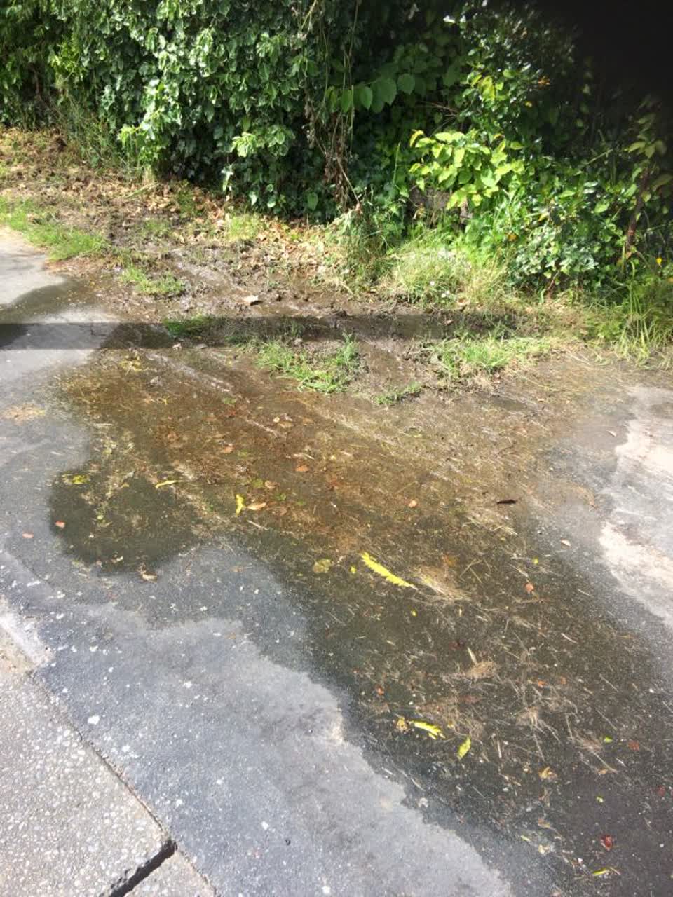 The photograph attached to this wastewater/stormwater report