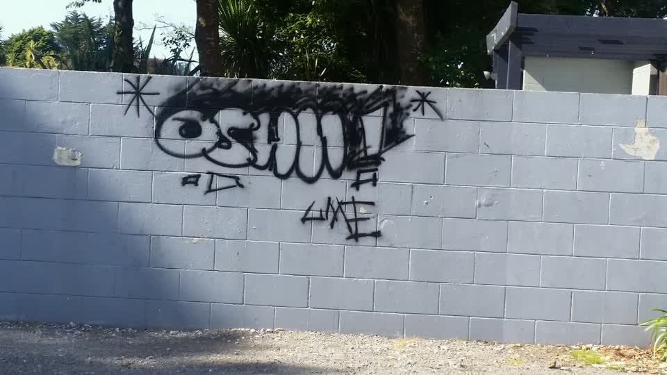 The photograph attached to this graffiti report