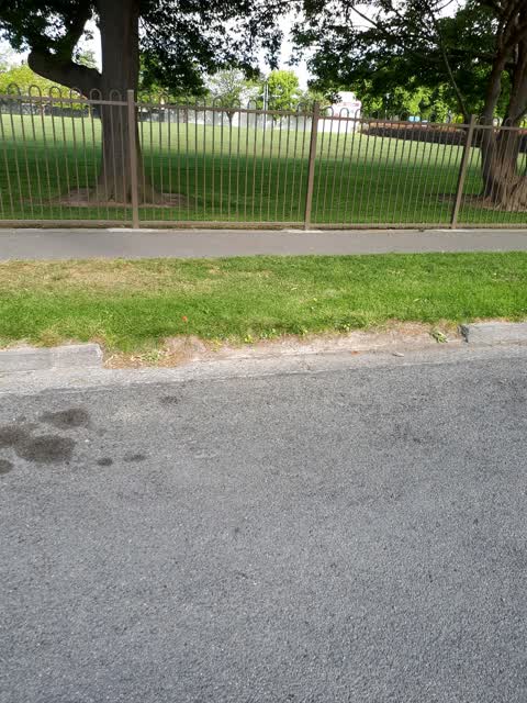 Roading/Streets, a report photo