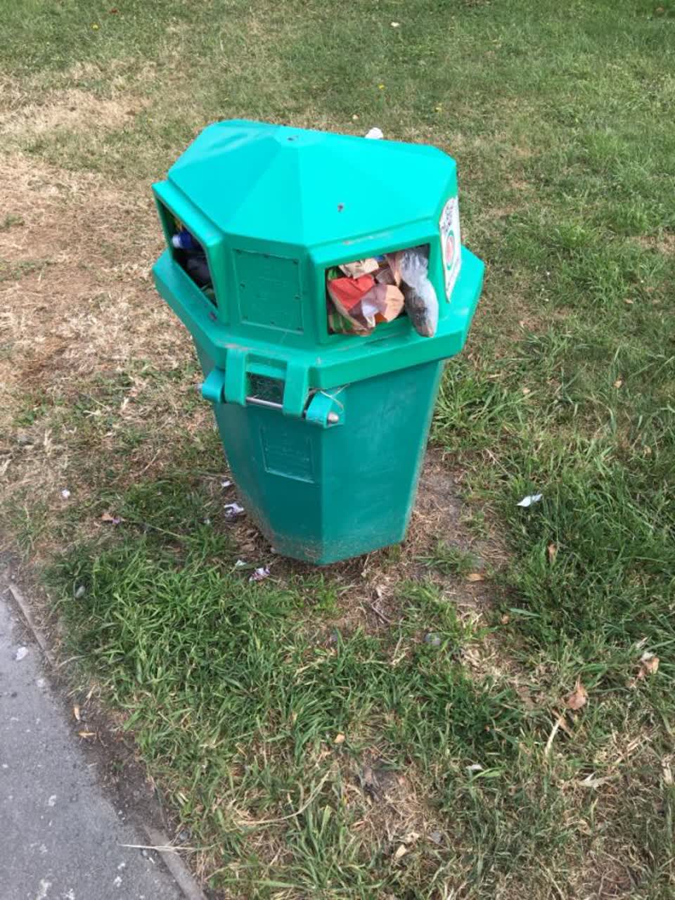 The photograph attached to this rubbish/recycling report