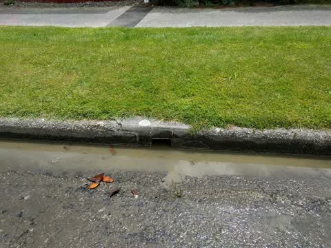 Wastewater/Stormwater, a report photo