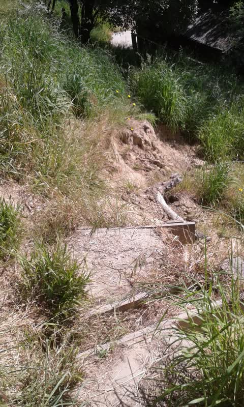 Parks, a report photo