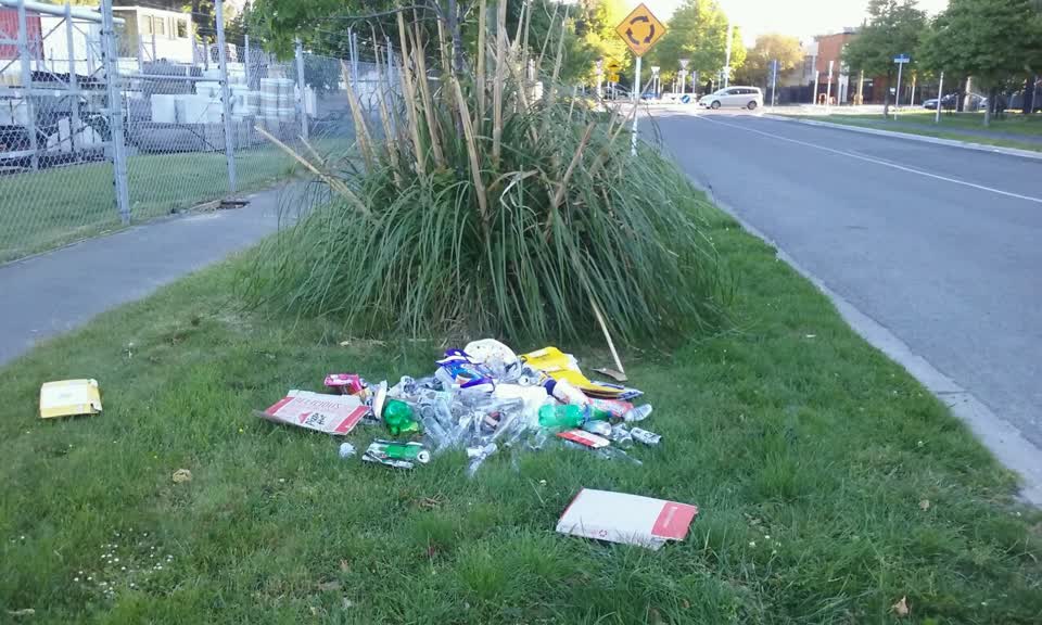 The photograph attached to this rubbish/recycling report